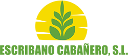 www.escribanosl.es